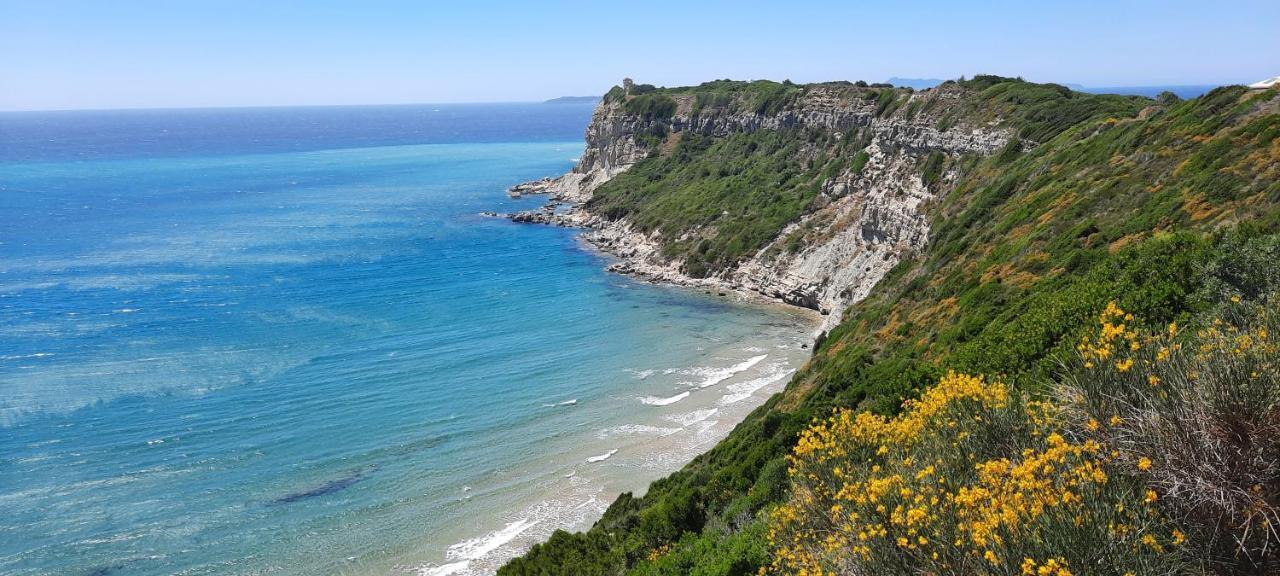 Nikos * Arillas (Corfu)
